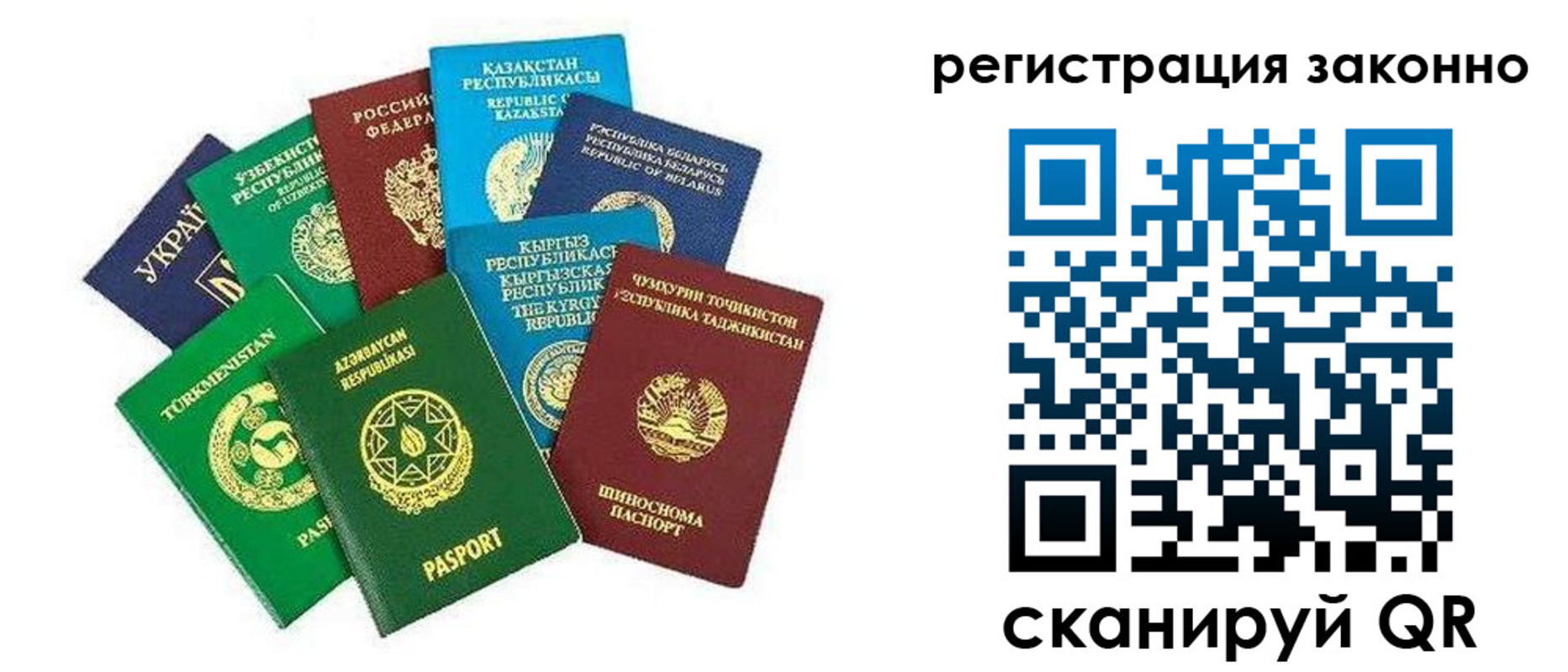 прописка 2025 в Светогорске